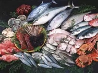 知乎：2024澳门资料免费大全-鲤鱼吃什么食物