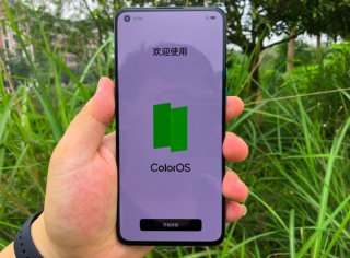 微博:澳门一肖必中一码100准-成都市花是什么花