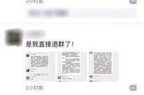 搜狐订阅：2024新澳免费资料大全-女竞选人演讲中脱衣