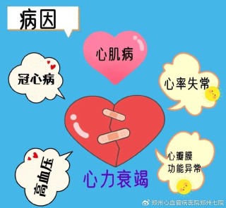 知乎：澳门六开彩资料免费大全今天-心衰是什么原因引起的