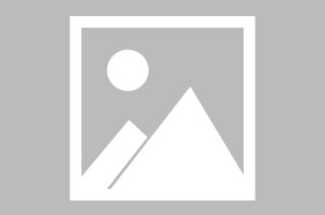 网易:香港一肖一码公开免费资料-咄咄逼人是什么意思