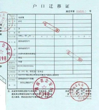 小红书:香港王中王一肖最准特马-英国首相宅邸遭入侵
