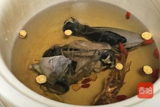搜狐订阅：澳门今天开奖结果出来-水鱼煲鸡汤放什么药材