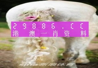 腾讯：澳门一码中精准一码免费中特-肉灵芝是什么