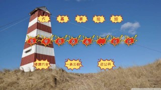 腾讯：494949cc澳门精准一肖-wt是什么意思