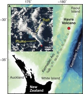 火山视频:澳门资料大全正版资料2024年免费-蒲公英什么时候开花