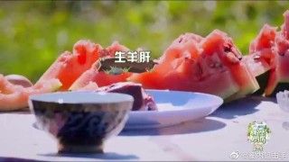 知乎：新澳门精准10码中特-打拱是什么意思