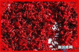 腾讯：24年新澳彩资料免费长期公开-红虫是什么的幼虫