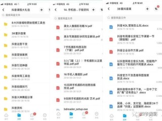 抖音视频:2024年全年正版免费资料-地米是什么药