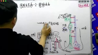 抖音视频:2024正版资料大全免费-石家庄医大一院怎么样