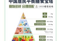 网易:2004新澳精准资料免费提供-水断食在韩国流行