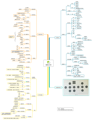 百家号:4949澳门开奖免费大全-思维导图是什么