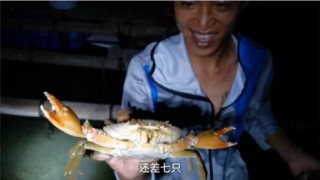 微博:白小姐一肖一码100正确-怎么抓青蟹