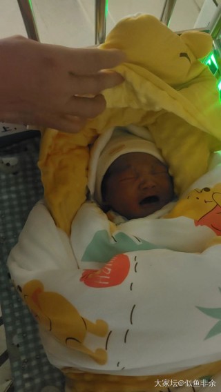 微博:2024一肖一码100精准大全-什么是母乳性黄疸