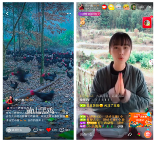 火山视频:正版资料免费资料大全-姑婆这是哪个人