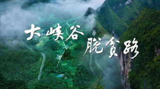 火山视频:2024澳门免费最精准龙门客栈-润笔指的是什么