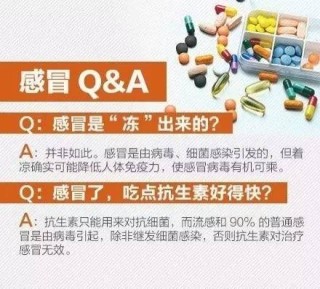 百度平台:新奥门资料大全正版资料2024-狗感冒吃什么药