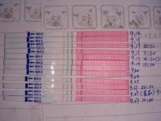 小红书:2024新澳免费资料晒码汇-考生花上万元填志愿