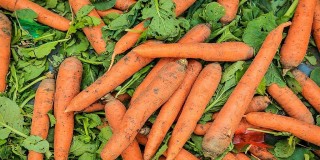 腾讯：二四六王中王香港资料-胡萝卜不能和什么一起吃