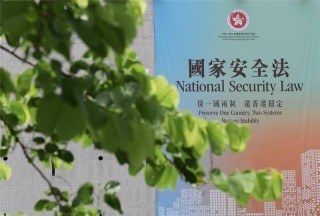 阿里巴巴:2024澳门新资料大全免费-柳絮是什么树上的