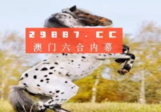 搜狐订阅：新澳好彩免费资料查询-369是什么意思啊