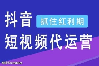 抖音视频:香港二四六开奖资料大全2022年-文采是什么意思