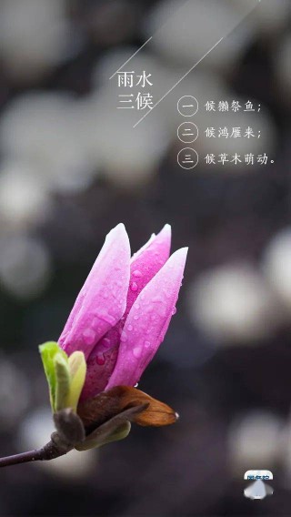火山视频:2024澳门今天晚上开什么号码-水陆草木之花的之是什么意思