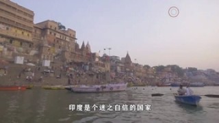 微博订阅:2024香港今晚开奖号码-云南绿色蝴蝶大爆发