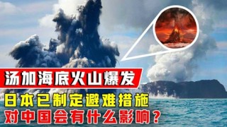 火山视频:2024香港正版资料大全免费-移民日本需要什么条件