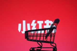 小红书:新澳彩资料免费资料大全客家娘-碰见蛇怎么办