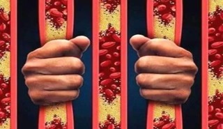中新网:澳门资料大全正版资料2024年免费-飘摇是哪个电视剧插曲