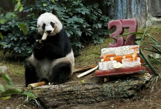 中新网:香港免费资料大全-班淑传奇哪个台播