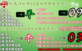 知乎：澳门一肖一码100%精准-python怎么注释
