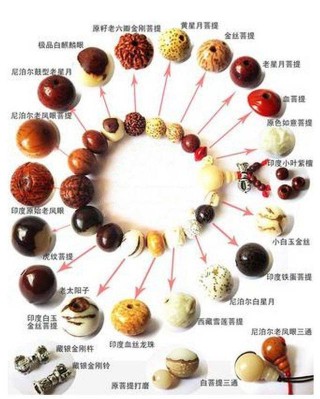 腾讯：澳门一肖一码精准100王中王-男童开玩笑被暴打