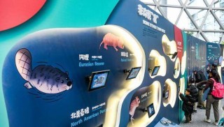 搜狐:新奥资料免费精准新奥生肖卡-科技馆里有什么