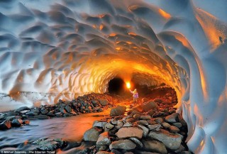 火山视频:澳门金牛版正版资料大全免费-春回大地是指什么生肖