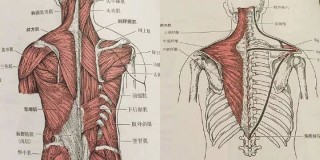 百度平台:2024正版资料大全免费-2010年什么年