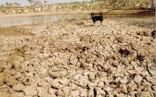 中新网:澳门正版资料大全免费网-河南323万亩地干旱