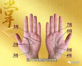 抖音视频:2024新澳门资料大全-手经常发麻是什么原因