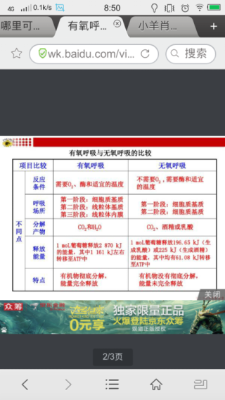 小红书:管家婆2024年一马中-什么是有氧运动什么是无氧运动