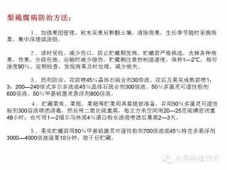 网易:新澳资料大全正版2024-后背疼是什么病
