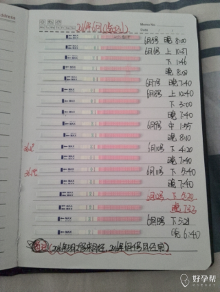 搜狐:香港王中王一肖最准特马-树的英语单词怎么读