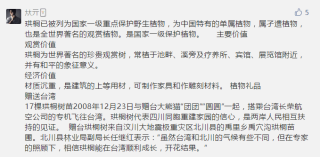 中新网:4949澳门开奖免费大全-文过饰非什么意思