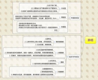 搜狐订阅：2024新澳门资料大全正版资料免费-锦鲤怎么做好吃