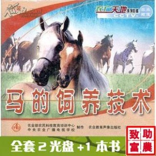 百度平台:马会澳门正版资料查询-今天五行属什么