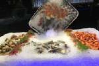火山视频:4949澳门资料免费大全高手-骨折吃什么水果好