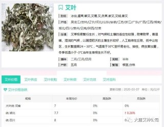 腾讯：澳门王中王100%的资料2024-艾叶泡水喝有什么功效