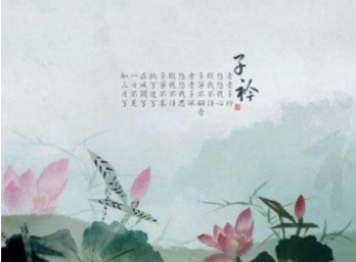 中新网:澳门4949资料免费大全-青青子衿悠悠我心什么意思