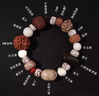 网易:新奥彩资料免费提供-菩提子是什么