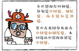 搜狐:新澳门4949正版资料大全-哪个动画片最好看